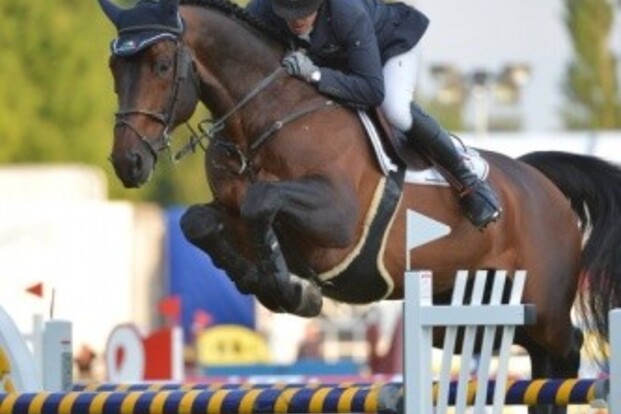 Erco vh Roosakker naar Stephex Stables Erco vh Roosakker naar Stephex Stables