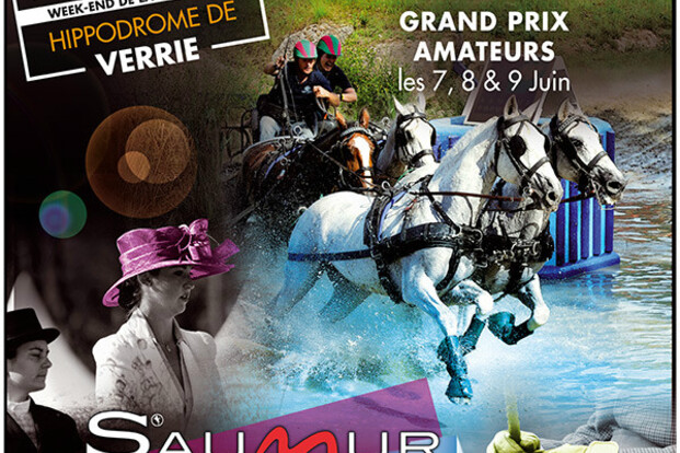 25 Belgen naar CAI Saumur 25 Belgen naar CAI Saumur