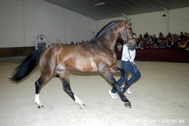 Toulon en Emerald leveren Freejump winnaars Toulon en Emerald leveren Freejump winnaars
