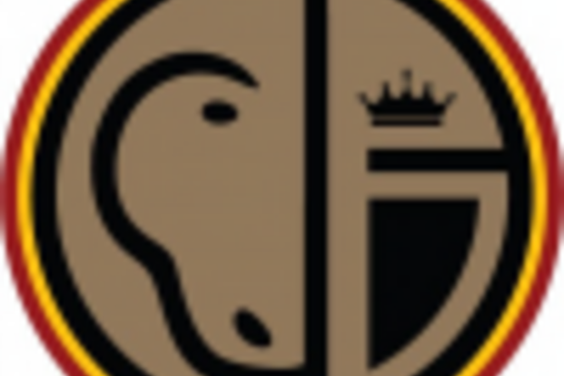 Verslag Nationale Commissie Mennen 29/07