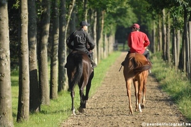 Belgen vierde op CEIO Compiegne