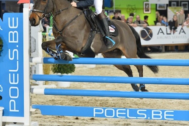 JM17: Vic De Plecker op 1 en 3 in ponyfinale