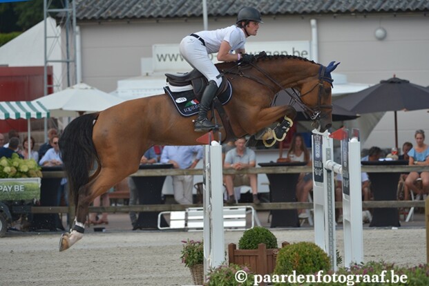 Funke vh Heike wint KGP Zandhoven Funke vh Heike wint KGP Zandhoven