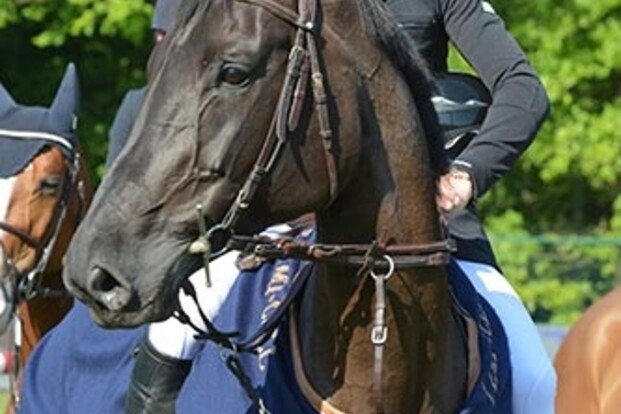 Farrington en alweer Lamaze vandaag in Rome Farrington en alweer Lamaze vandaag in Rome
