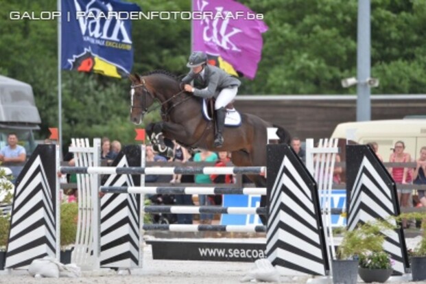 Britten boven in Zandhoven! Britten boven in Zandhoven!