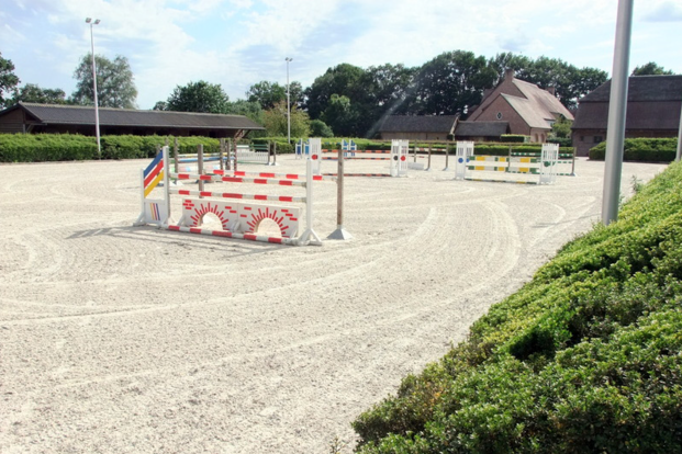 Rostal op zoek naar ruiter Rostal op zoek naar ruiter