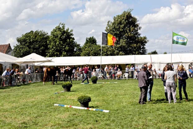 BWP prijskamp Evergem: een gezellig...
