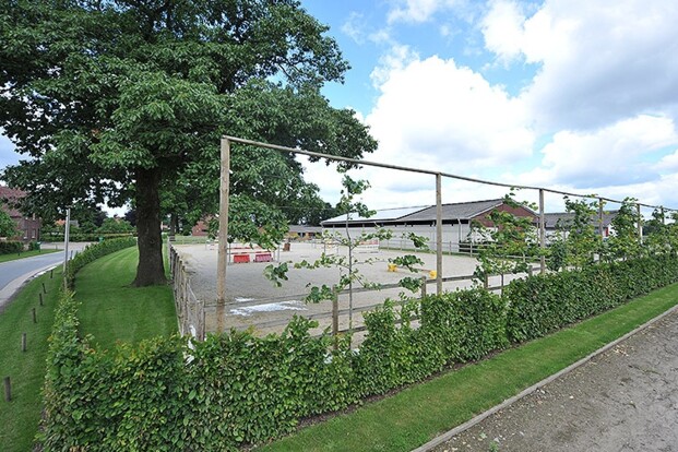 Te huur : appartement(en) met stallen Te huur : appartement(en) met stallen