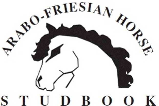 Middelburg, keuring Arabo-Friezen - 17 augustus