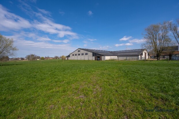Immofluisteraar verkoopt 'Hippisch Complex' Immofluisteraar verkoopt 'Hippisch Complex'