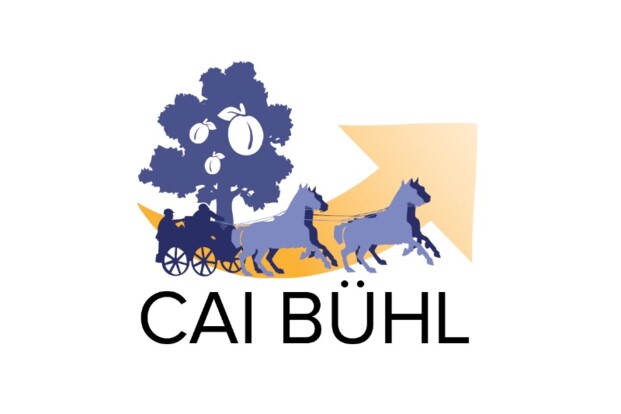 Tien Belgen aan de start van CAI Bühl