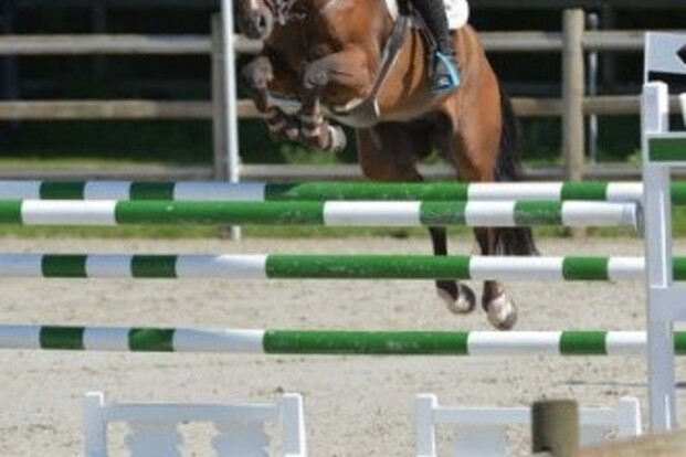 Alweer Clemens beste Belg in Odense