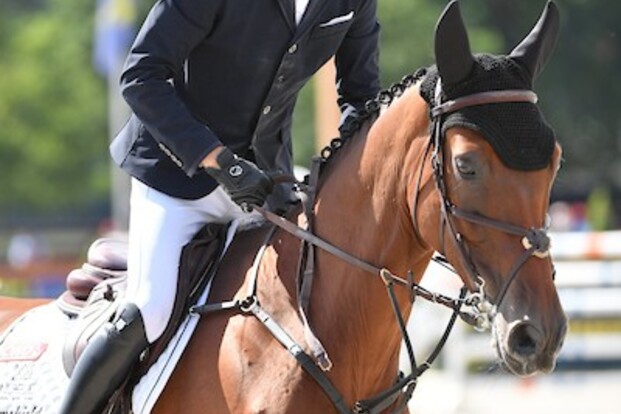 Gilles Thomas start zijn concours met winst!
