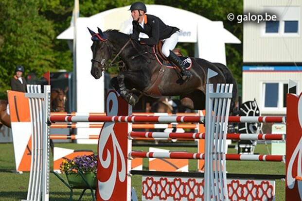 Vereecke wint Rankingproef Ariat in Kapellen Vereecke wint Rankingproef Ariat in Kapellen