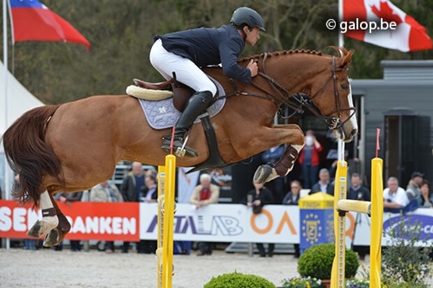 Keuring La Baule + Herkeuring CSIo3* Odense Keuring La Baule + Herkeuring CSIo3* Odense
