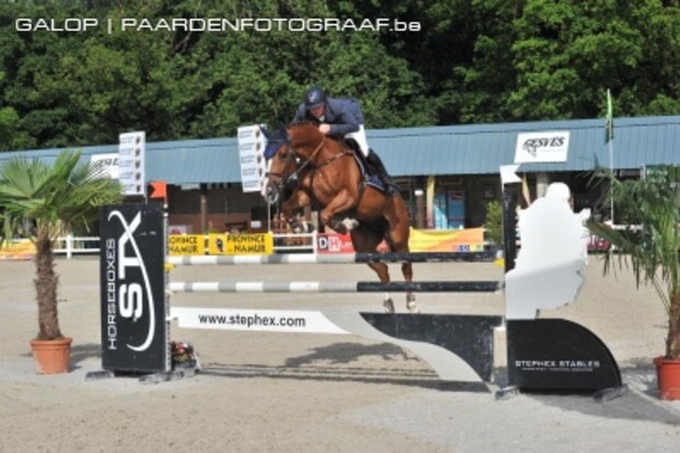 Goud in Gesves: Thonon, Laheyne en De Grande Goud in Gesves: Thonon, Laheyne en De Grande