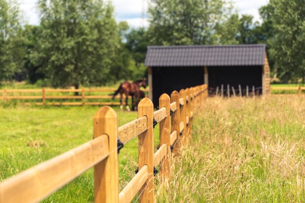 Kies voor duurzame en kwalitatieve paardenomheining met Densiforce®