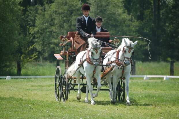 Startlijst - training Aywaille - 20/06