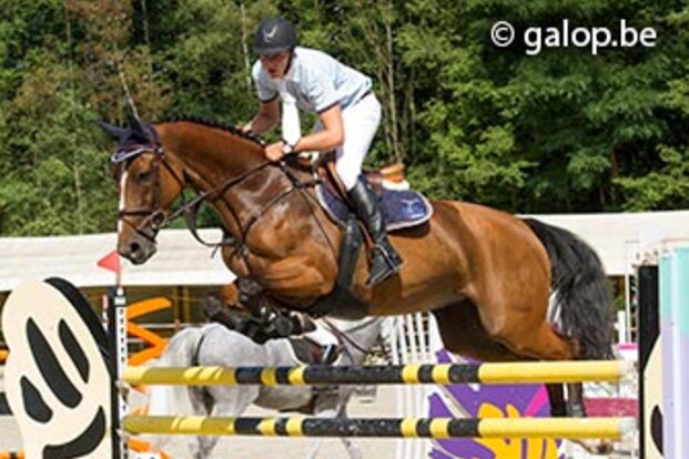 Bradt wint Beker Young Riders