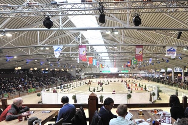138 hengsten voor BWP Hengstenkeuring 2018