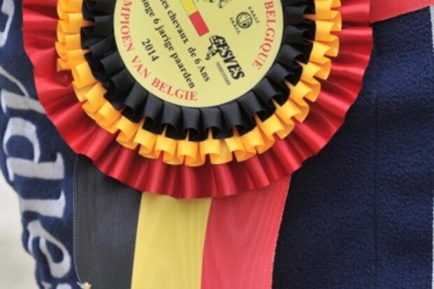 Gesves: Rijnders wint 1e proef zevenjarigen Gesves: Rijnders wint 1e proef zevenjarigen