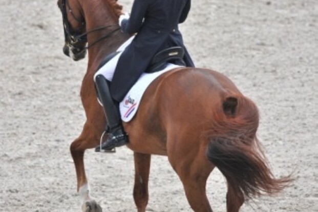 Olympische Spelen: Cornelissen geeft op