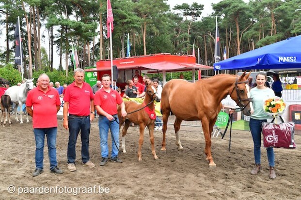 Nationaal Kampioenschap BWP op 4 september