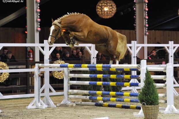 Jones du Chapitre winnaar halve finale 2j Jones du Chapitre winnaar halve finale 2j