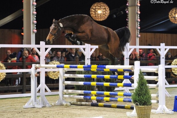 Happy vd Gulden wint halve finale! Happy vd Gulden wint halve finale!