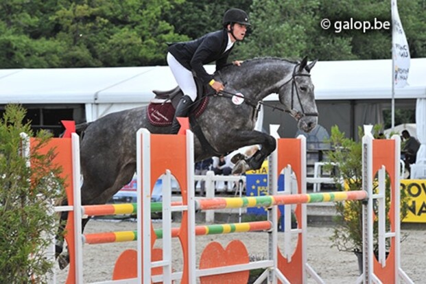 SBB-competitie voor Jonge Paarden Kieldrecht SBB-competitie voor Jonge Paarden Kieldrecht