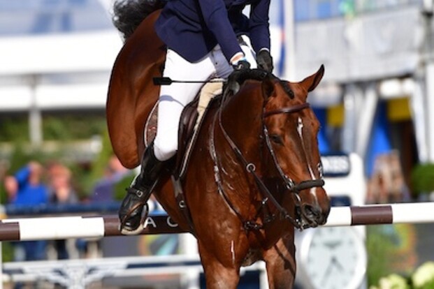 CSI2* Roosendaal: vijfde plaats voor Daem