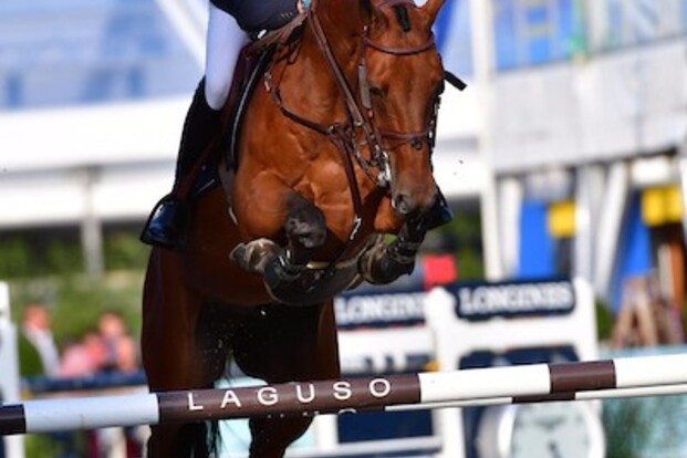 CSI5* Genève: Niels Bruynseels wordt 6de