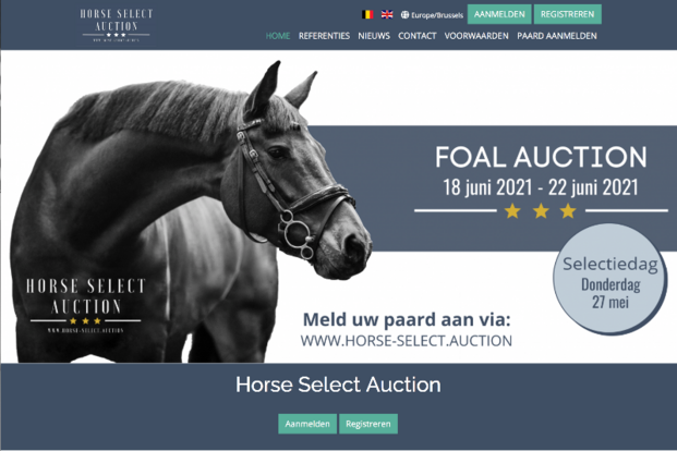 Nieuwe veiling: Horse Select Auction Nieuwe veiling: Horse Select Auction