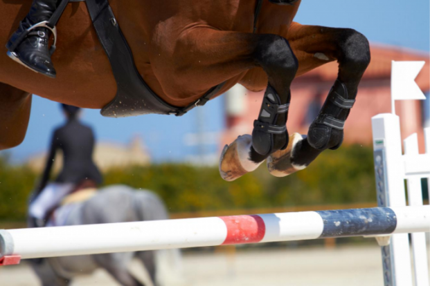 Update jumpingkalender tot 9 juni