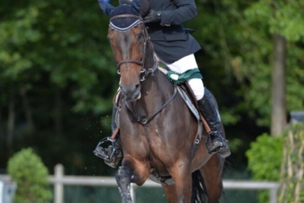 Denutte wint openingsproef CSI3* Beervelde