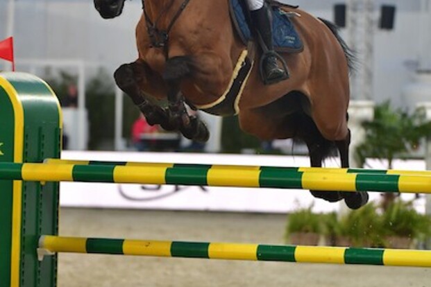Wilm Vermeir scoort nu ook in de CSI4* GP!