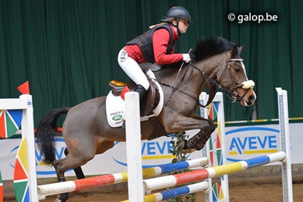 Nationale ponycross te Gavere Nationale ponycross te Gavere