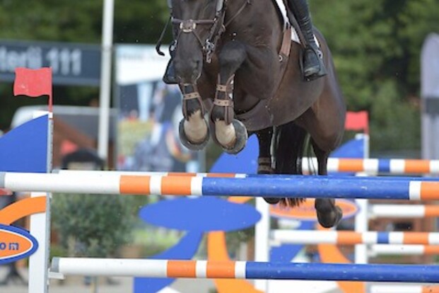 CSI4* Samorin: Marlon Zanotelli wint GP!