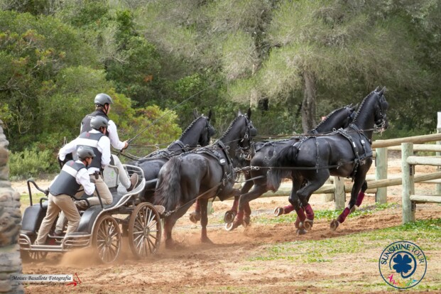 Kampioenschap van Andalusië - Campeonato de Andalucia de Enganches