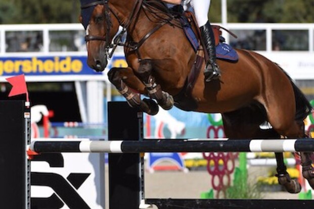 CSI2* Madrid: Celine Schoonbroodt 10de in GP