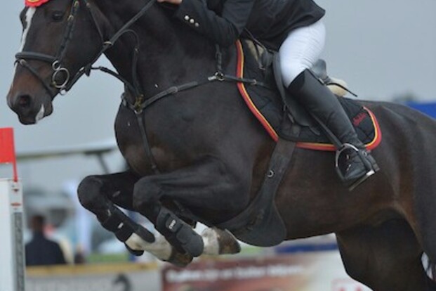 CSI2* Lier: Niki Geenens snelt naar winst!