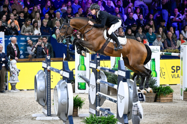 Highway TN N.O.P. gehuldigd als Jumping Horse of the Year Highway TN N.O.P. gehuldigd als Jumping Horse of the Year