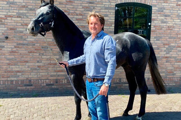 Youhorse.auction: Amerikanen kopen fanatiek Youhorse.auction: Amerikanen kopen fanatiek