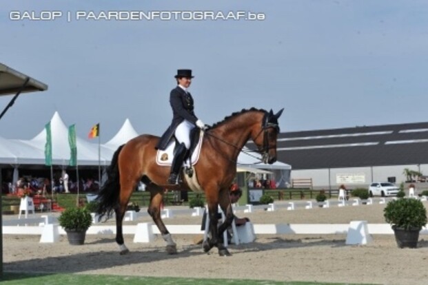 Hologne-Joux beste Belgische CDI3* Deauville Hologne-Joux beste Belgische CDI3* Deauville