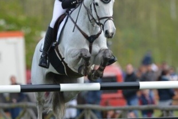 Zeven Belgen in GCT Antwerpen Zeven Belgen in GCT Antwerpen