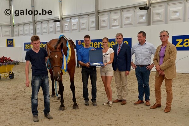 For Pleasure-zoon 1e kampioen hengstveulens For Pleasure-zoon 1e kampioen hengstveulens