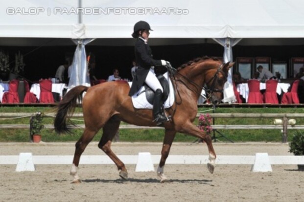 Belgische Young Riders vijfde op EK dressuur Belgische Young Riders vijfde op EK dressuur