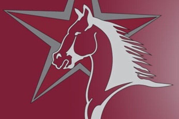 Starhorses zoekt ruiter voor jonge paarden Starhorses zoekt ruiter voor jonge paarden