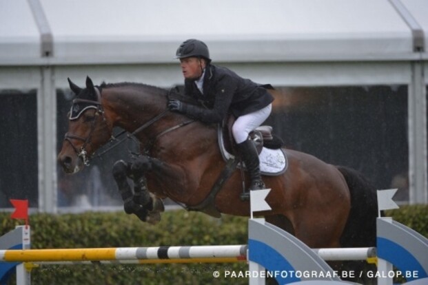 Eldorado vd Zeshoek wint in Arnhem