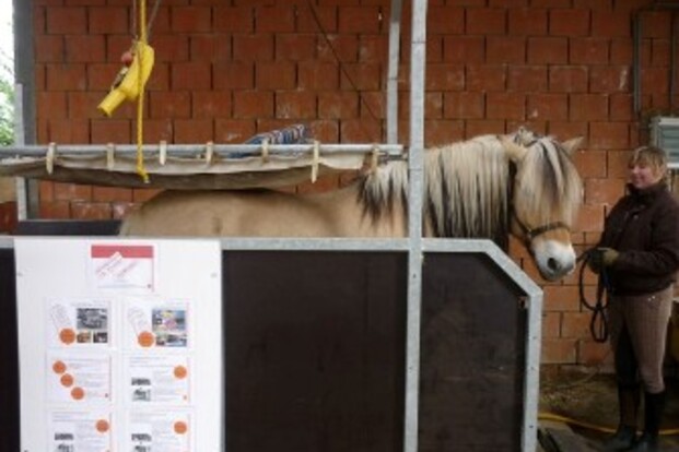 Stem op Hemelbed-te-paard